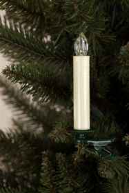 Tree Taper Candle (Set of 12)