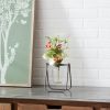 Jar with Stand (Set of 2) 6"L x 6.75"H