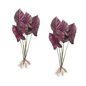 Caladium Plant (Set of 2) 22.25"H