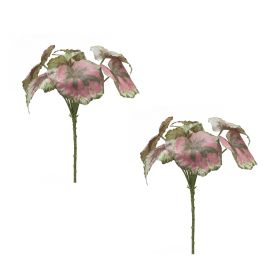 Begonia Leaf (Set of 2) 11.5"H