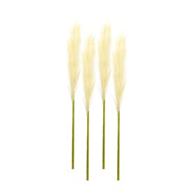 Pampas Spray (Set of 4) 30"H