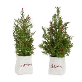 Potted Tree (Set of 2) 14.25"H, 16.5"H