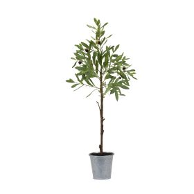 Potted Olive Tree 31.5"H