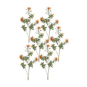 Protea Stem (Set of 6) 34.25"H