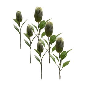 Protea Stem (Set of 6) 20"H, 26.5"H