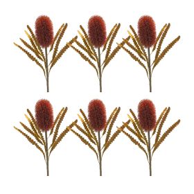 Banksia Stem (Set of 6) 24"H