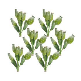Poppy Pod Bundle (Set of 6) 9.5"H