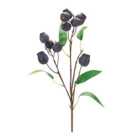 Pod Spray (Set of 6) 27"H