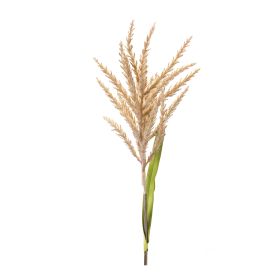 Astilbe Stem (Set of 12) 34"H