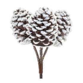 Pine Cone Bundle (Set of 6) 11"H