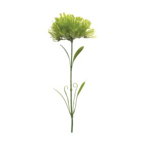 Puff Stem (Set of 6) 24"H