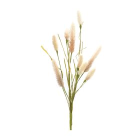 Foxtail Spray (Set of 6) 21.25"H