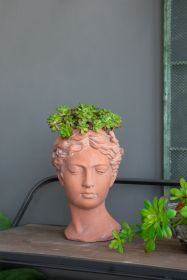 D7x11" Visage Head Bust Planter