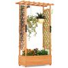 Raised Garden Bed with Arch Trellis Orange