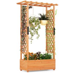 Raised Garden Bed with Arch Trellis Orange