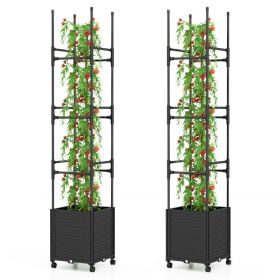 Raised Garden Bed with Obelisk Trellis