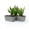 2-Pack Smart Self-watering Rectangle Planter for Indoor and Outdoor - Hand Woven Wicker - Gray - as Pic