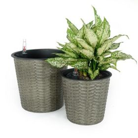 2-Pack Self-watering Wicker Decor Planter