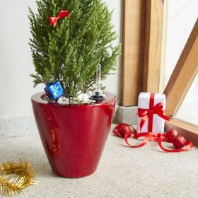 2-Pack Smart Self-watering Planter Pot