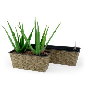 2-Pack Smart Self-watering Rectangle Planter