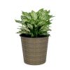 10.2" Self watering Wicker Decor Planter