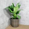 2-Pack Self-watering Wicker Decor Planter