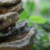 9x5x14" Indoor Brown Wood-Look Water Fountain, 4-Tier Polyresin Cascading Wood Tabletop Fountain with LED Light