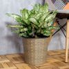 10.2" Self watering Wicker Decor Planter