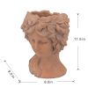 8x9x11.5" Brown Head Bust Planter, Greek Style Cement Head Planter