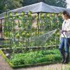A Frame Garden Cucumber Trellis