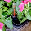 2-Pack Self-watering Planter - Hand Woven Wicker - Square - Expresso - as Pic