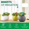 Plant Watering Globes Set of 6 Self Watering Globes for Indoor Outdoor Plants Multicolored Automatic Glass Watering Bulbs for Everyday Use Measures 63