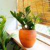 Smart Self-watering Round Planter Pot for Indoor and Outdoor - Terracotta Painted