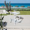 Aluminum White Indoor/Outdoor Patio Serving Dual-layer Cart with Teak Handle