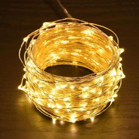 66ft String Light