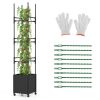 Raised Garden Bed with Obelisk Trellis