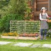 Raised Garden Bed with 2 Planter Boxes and 3 Trellis Natural