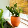Smart Self watering Round Planter