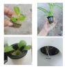 Customizable Hydroponics Tower Vertical Aeroponic Growing System Kit