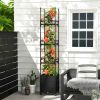 Raised Garden Bed with Obelisk Trellis