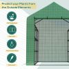 Walk-in Greenhouse for Outdoors with Roll-up Zipper Door,