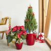 2-Pack Smart Self-watering Planter Pot
