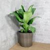 10.2" Self-watering Wicker Decor Planter for Indoor and Outdoor - Round - Grey - as Pic