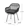 Orlando Faux Rattan Chairs (Set of 2) , Dark Gray Finish