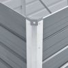 Garden Raised Bed Galvanized Steel 126"x31.5"x17.7"
