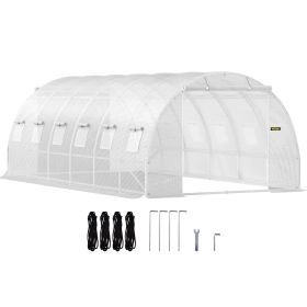 20 x 10 x 7 ft Walk-in Tunnel Greenhouse