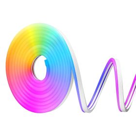 LED Neon Rope Light, 16.4 ft, L