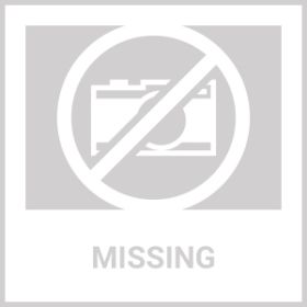 LEDs Snow Pompon Fairy Dandelion String Lights (Color: White, size: 3m 20LEDS)