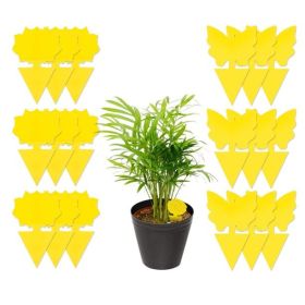 18/48 Pack Sticky Fruit Fly Trap and Fungus Gnat Traps Killer Non-Toxic and Odorless (Quantity: 48)