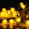 LEDs Snow Pompon Fairy Dandelion String Lights